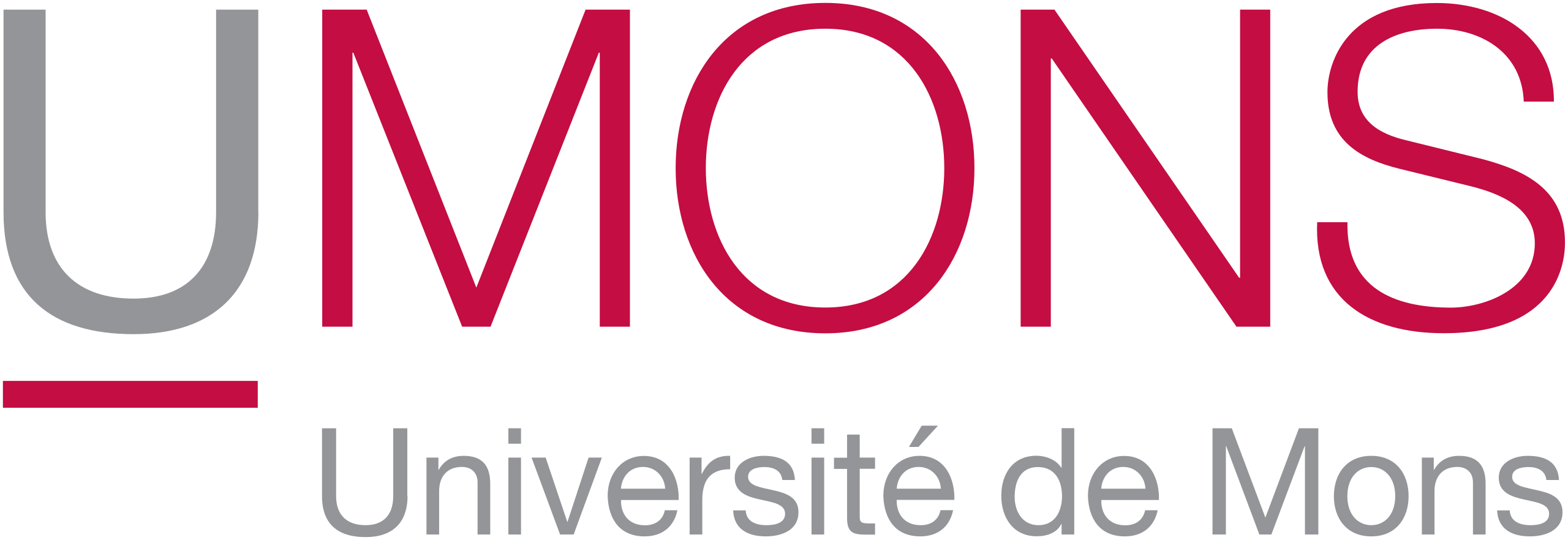 UNIVERSITÉ DE MONS (UMONS)